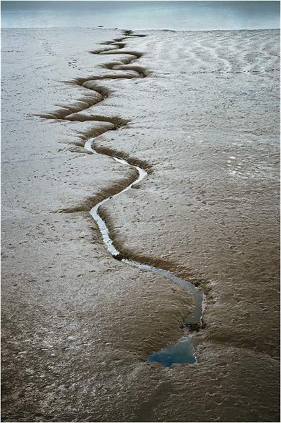 Serpertine in Woodbridge Mud.jpg - SONY DSC